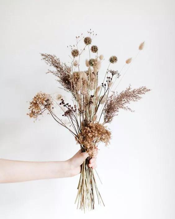 她用这种高颜值的干花装饰家里，隔壁邻居都惊叹不已