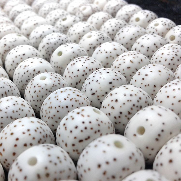 星月菩提名词大全,星月菩提术语有哪些