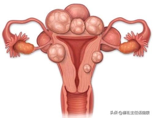 女神节说点啥,女神节说点什么好