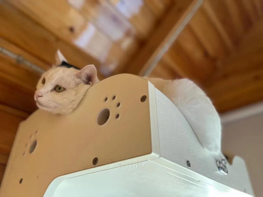 浣犺兘鐚滃嚭璋佺畻鎴戣緭,浣犵寽寰楀嚭鏉ョ畻鎴戣緭