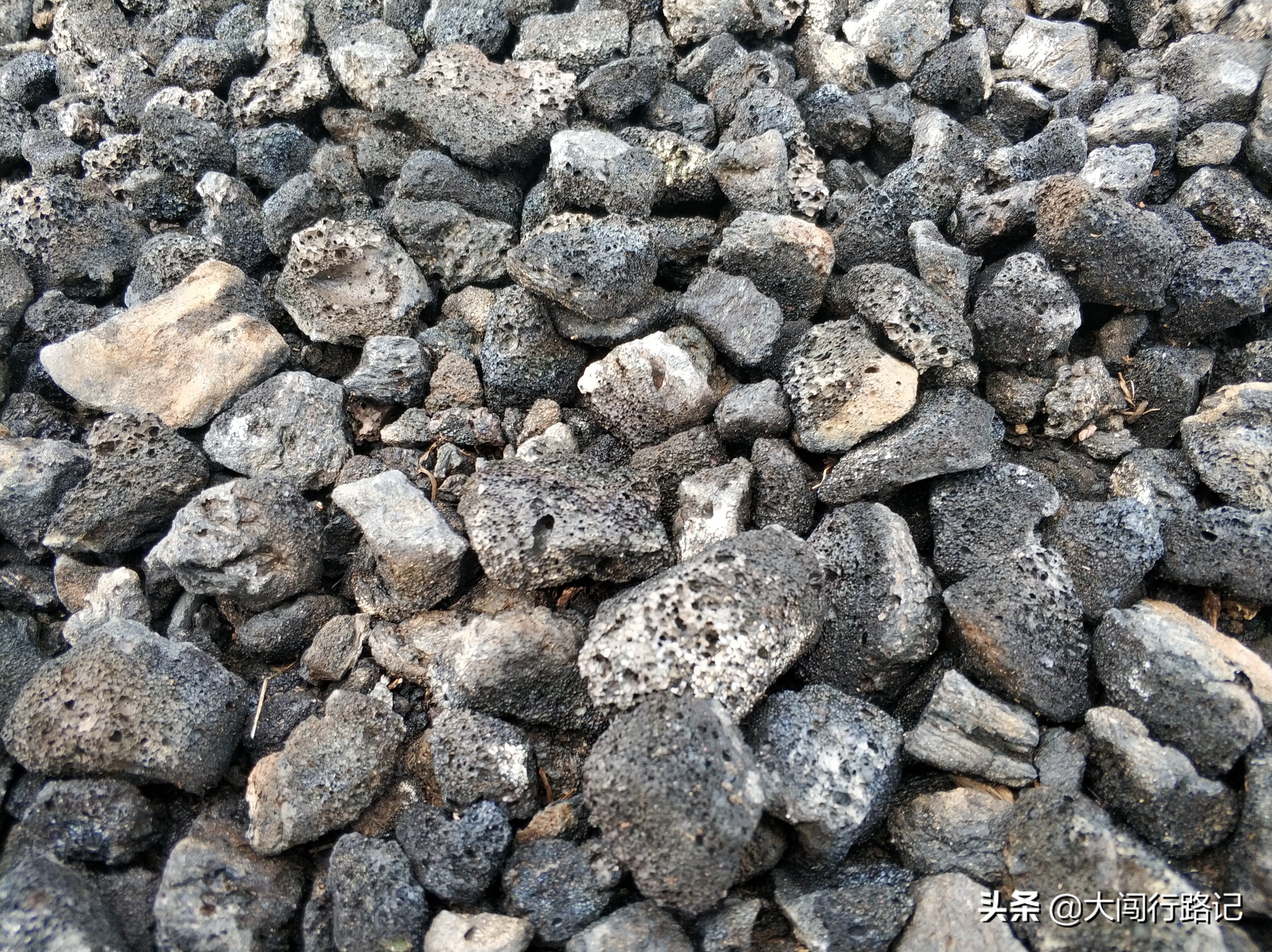 北京草原5天旅游攻略,北京自驾草原四天三晚旅游推荐