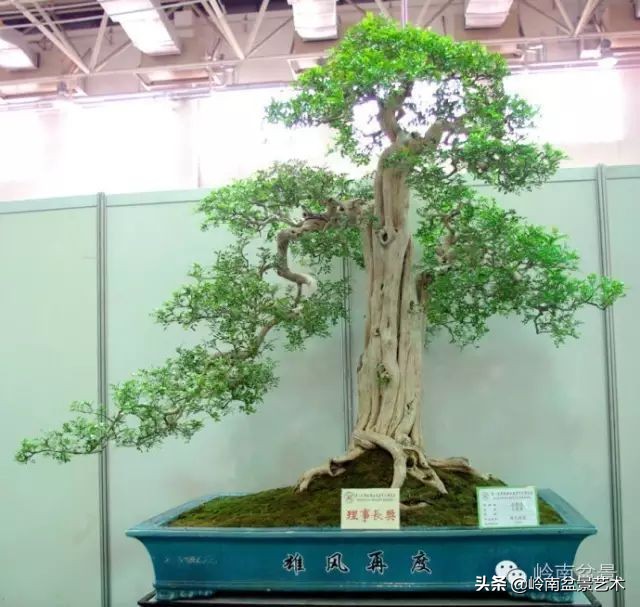 骞哥涔呬箙鐢滅敎铚滆湝,骞哥涔呬箙