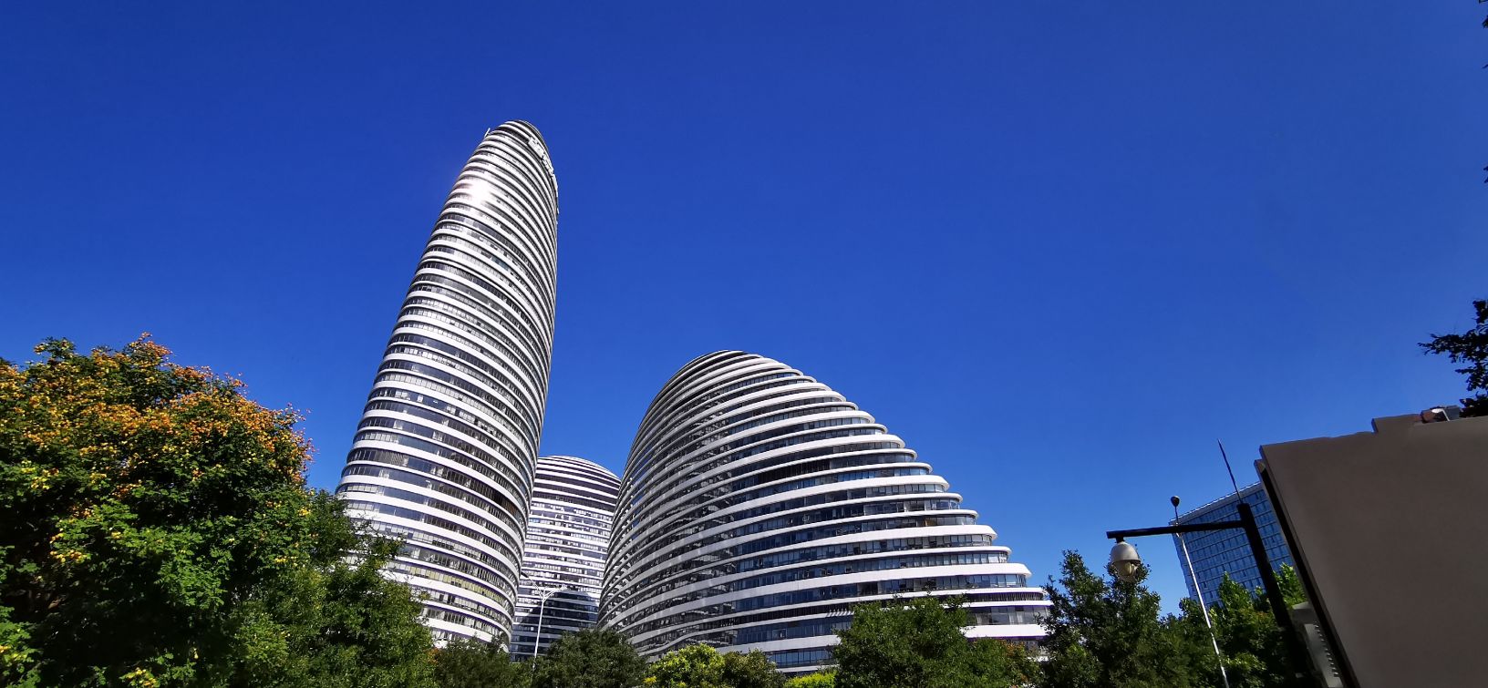 鍖椾含绉樺,鍖椾含绉樺涔嬫梾