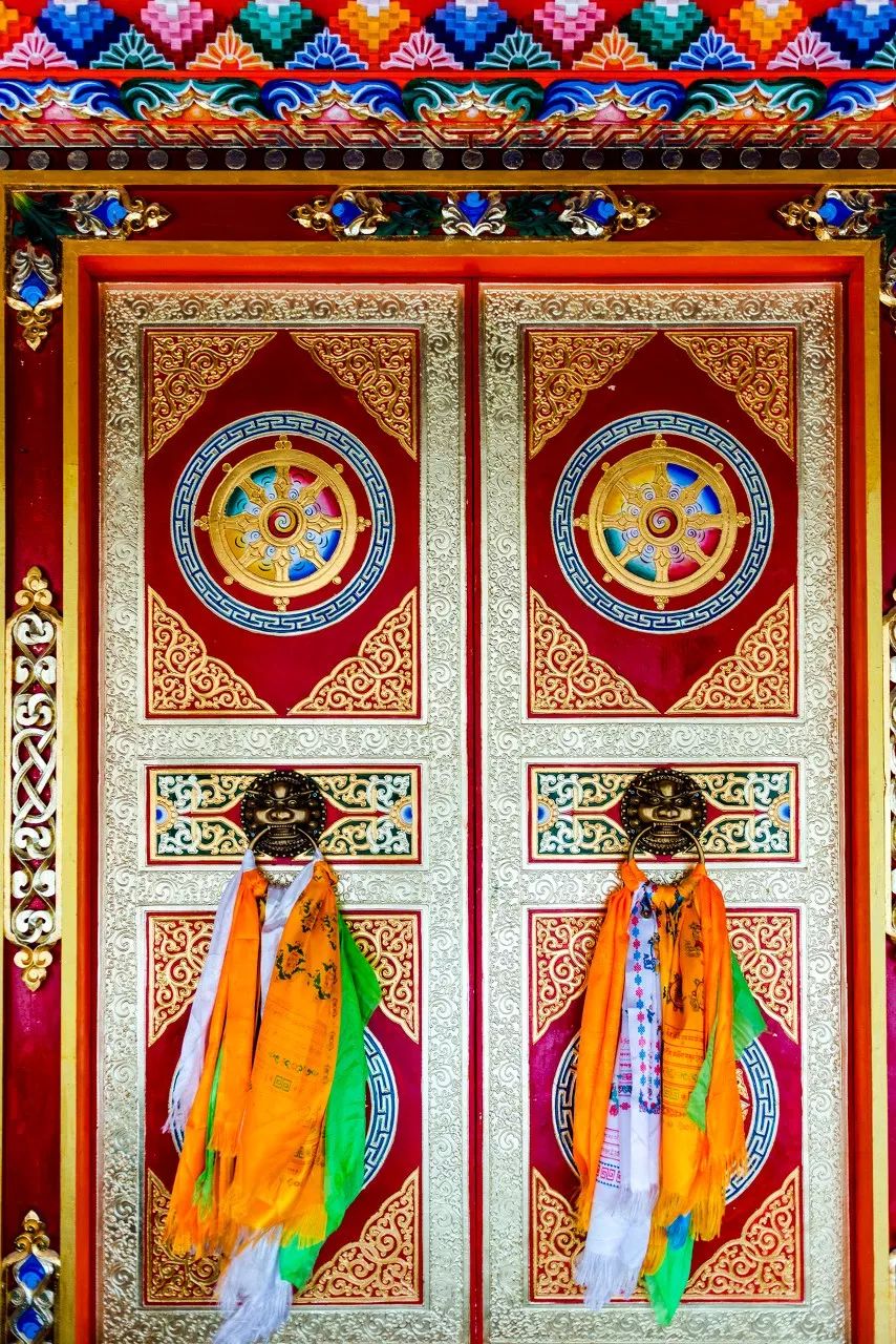 七月的青海湖美翻了,带你了解七月的青海