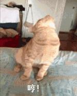 疫情中的替代性创伤,疫情替代性创伤