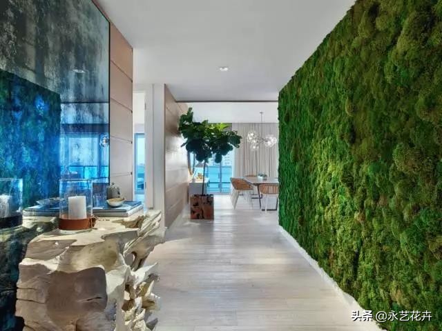 永生花苔藓植物墙,永生苔藓的价格