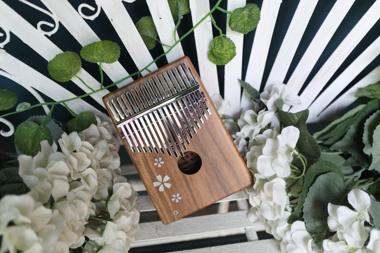 拇指琴初学最适合弹什么,初学者如何使用拇指琴