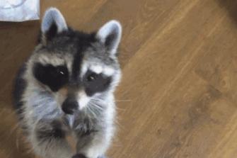 聊城海底世界两大一小套票,海底世界周末带小孩玩路线