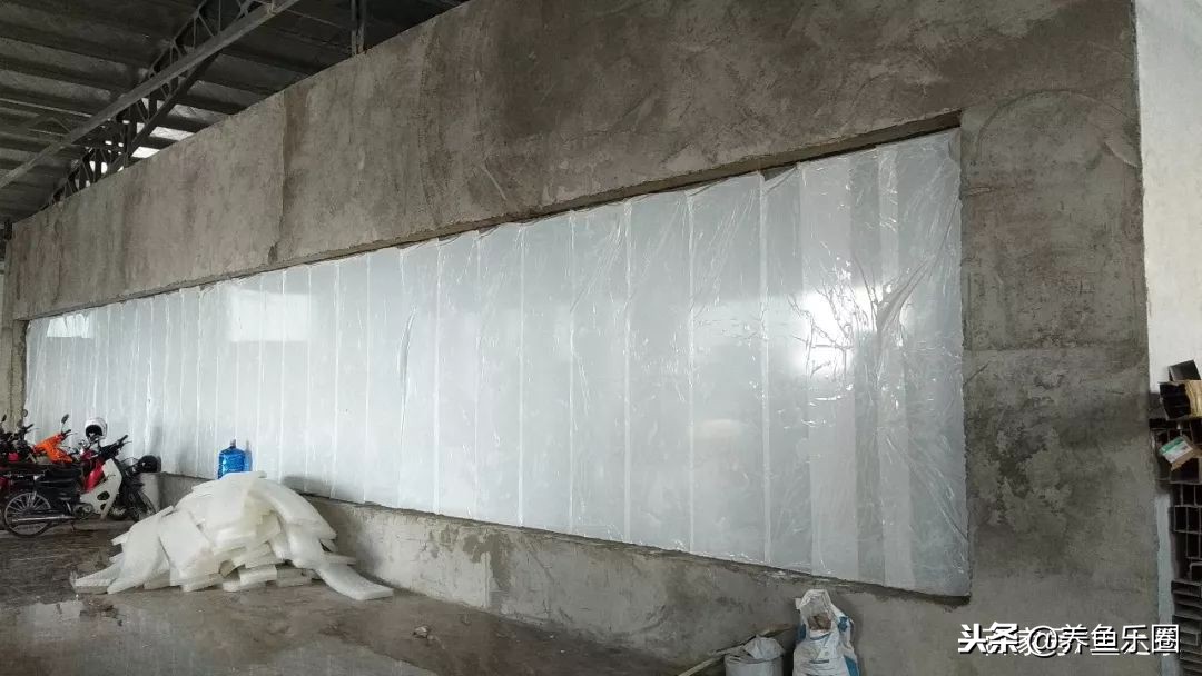 这位土豪家的渔场，光滤材就花了500多万，你确定不要见识一下？