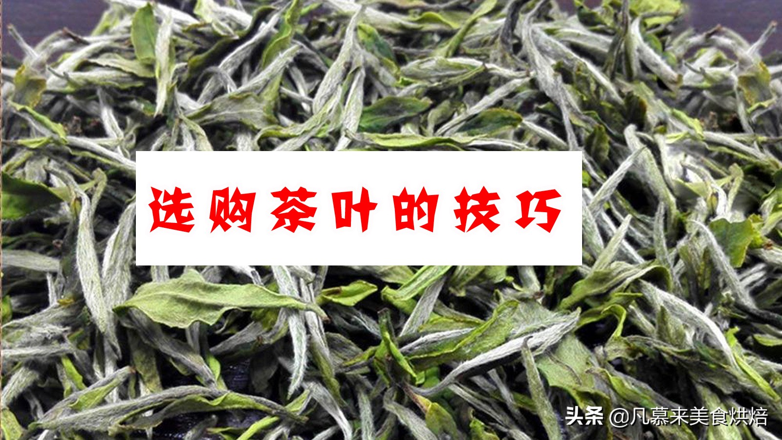 什么茶叶最好喝排名前十名,哪种茶叶最经典最好喝图片