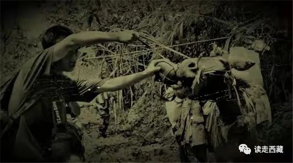 「雪域记忆」之十四——孤岛军魂，割舍不掉的墨脱情怀
