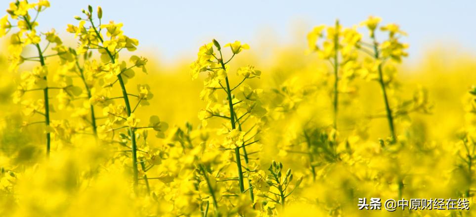 大盘很好但个股微跌,大盘跌个股也跌大盘涨还是跌