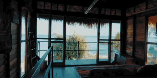 恋恋丽贝岛,人狗情未了|KohLipe