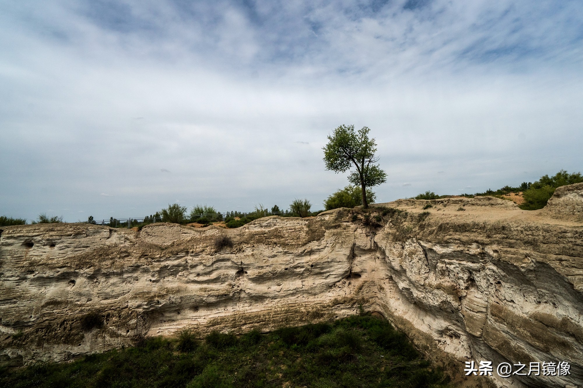 闈栬竟澶ф紶,闈栬竟澶ф紶椋庡厜
