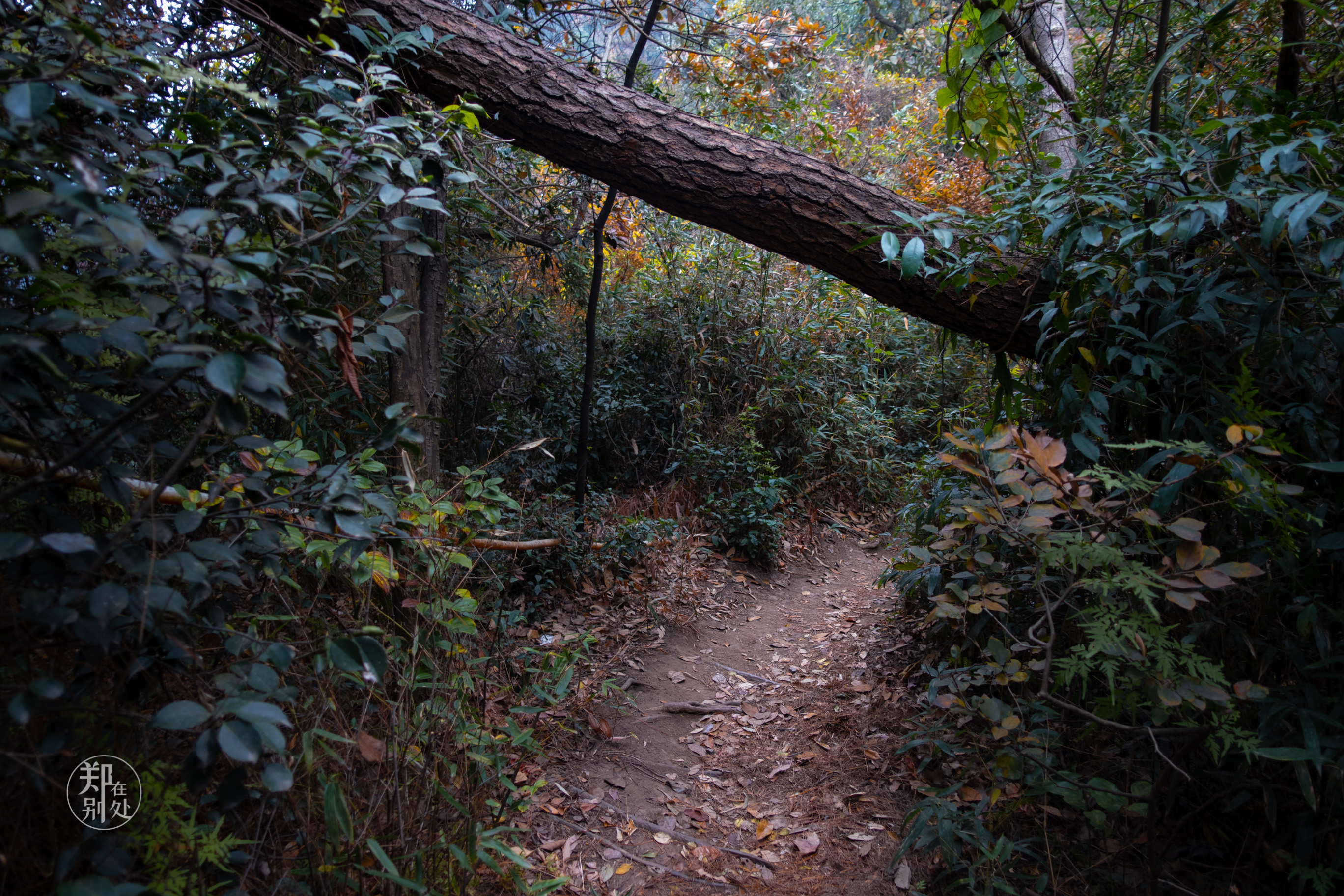 杭州登山徒步经典路线图最新,杭州登山路线