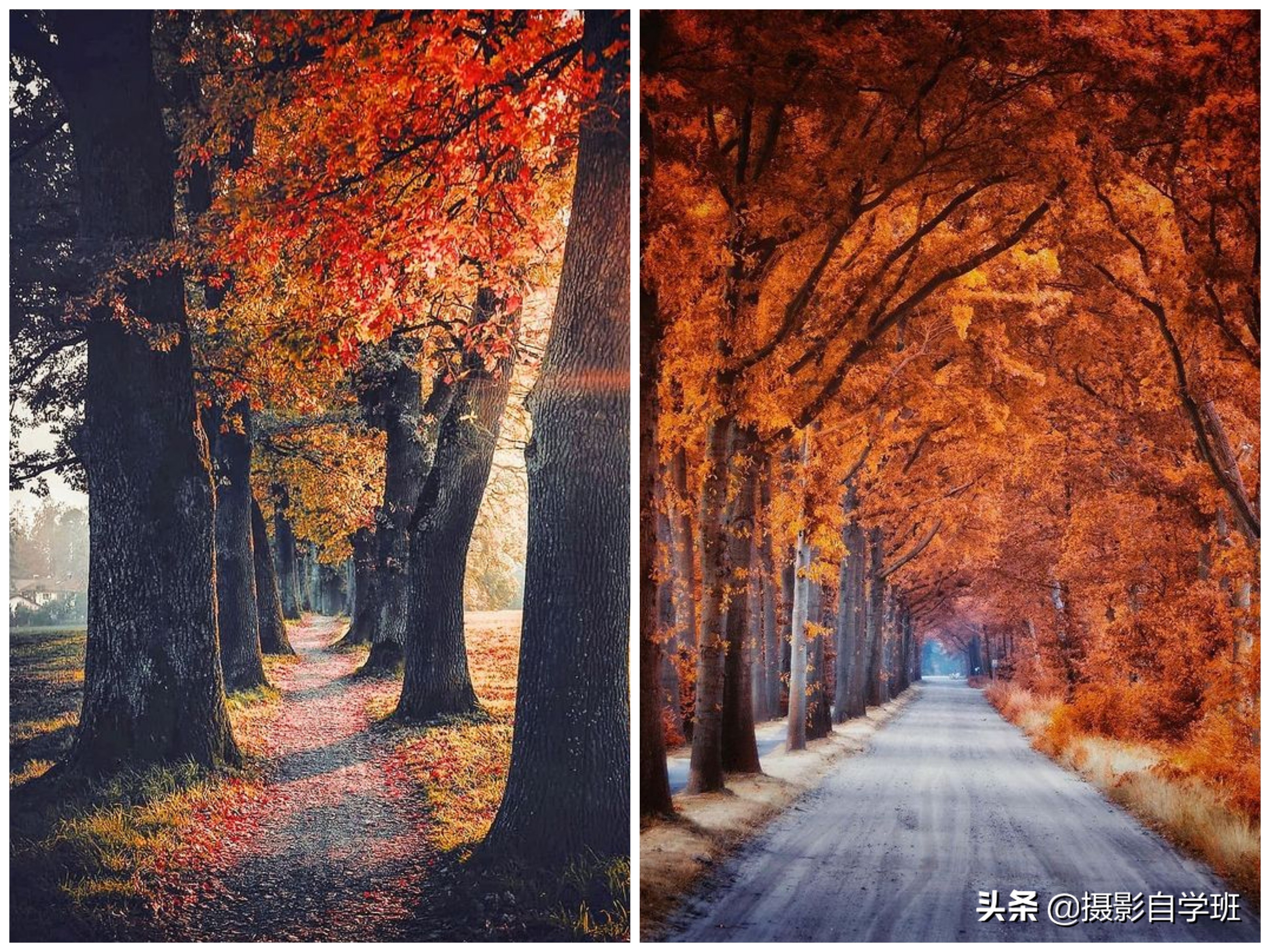 风景不好看怎么拍,风景不知道咋拍好