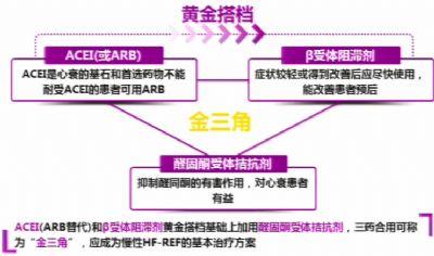 治心衰的金三角指的什么,心衰金三角常用药组合