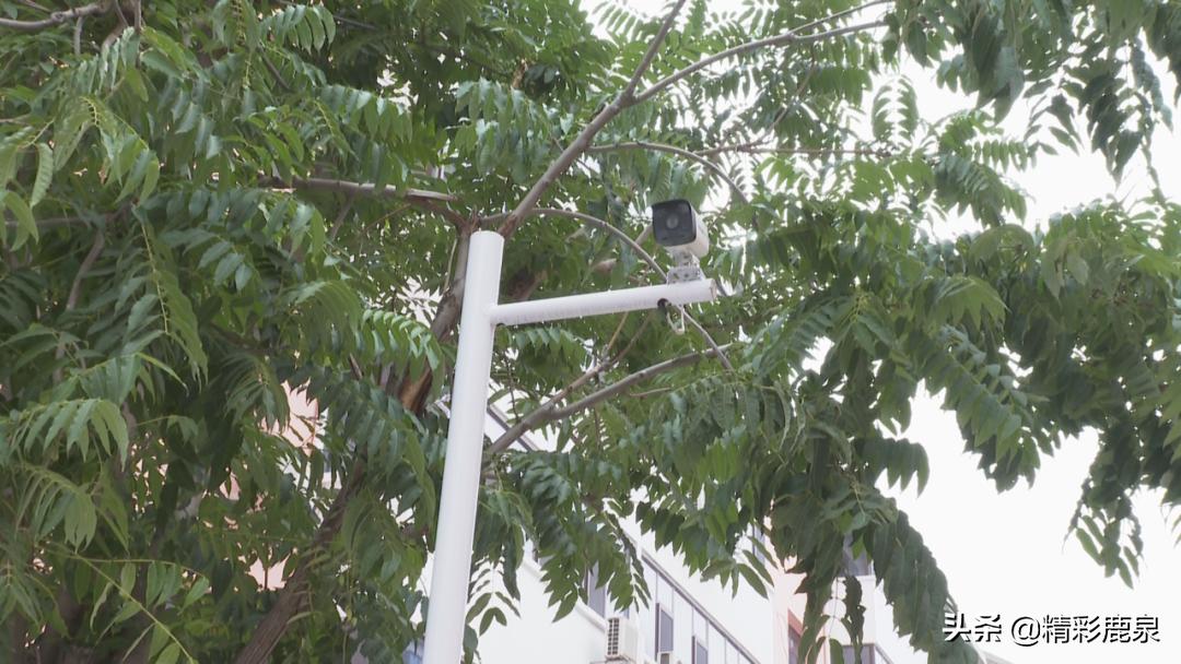 鹿泉改造,鹿泉旧屋翻新