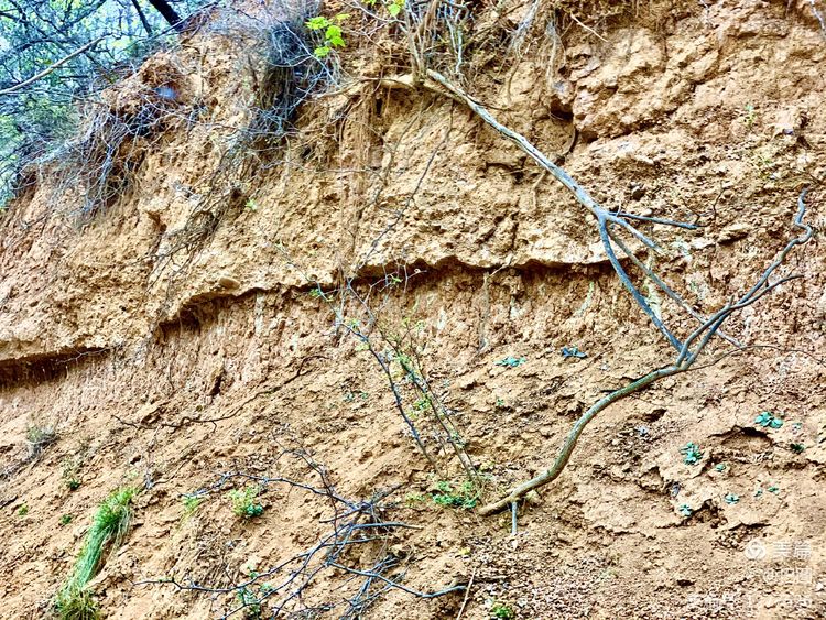 洛阳市宜阳凤凰岭射箭,宜阳县凤凰岭体育基地