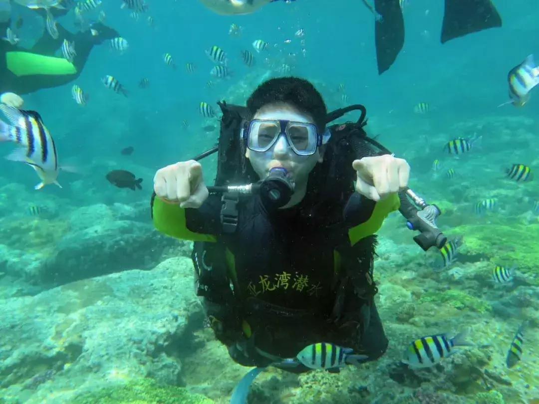 三亚潜水哪个俱乐部最好,三亚潜水得请教练么