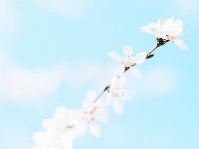 怀孕生子到底有多难,怀孕生子真不容易