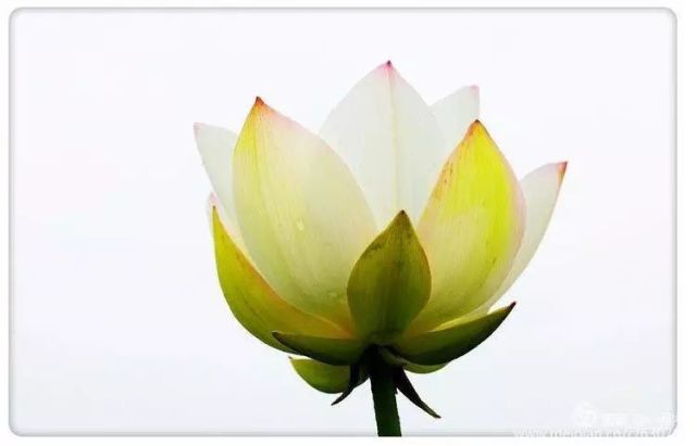 西乡周边景色美的地方,西乡哪里有夜景好看的