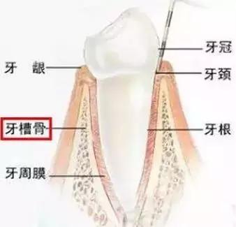 牙齿痛怎么办教你一招搞定牙痛,牙痛怎么样判断牙齿什么问题