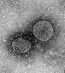 新冠病毒感染肺炎疫情防控知识,抗击新冠病毒肺炎