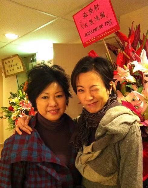 袁洁莹为何息影,袁洁莹巅峰时的美貌