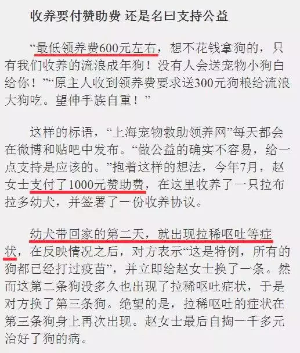 交易猫被央视曝光,收养流浪狗的真实记录