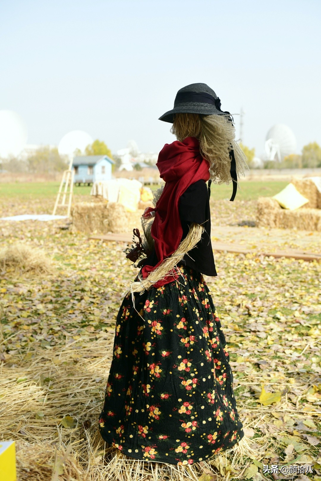 没有比利时花园游,来点比利时啤酒吧|随笔