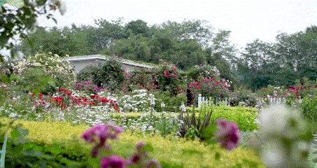 曾是电脑城销售，12年后坐拥60亩私家花园，137万网友跟她看春天