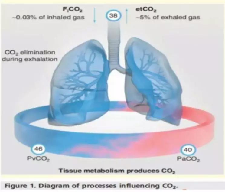 李娟教授：呼气末二氧化碳分压监测的临床应用