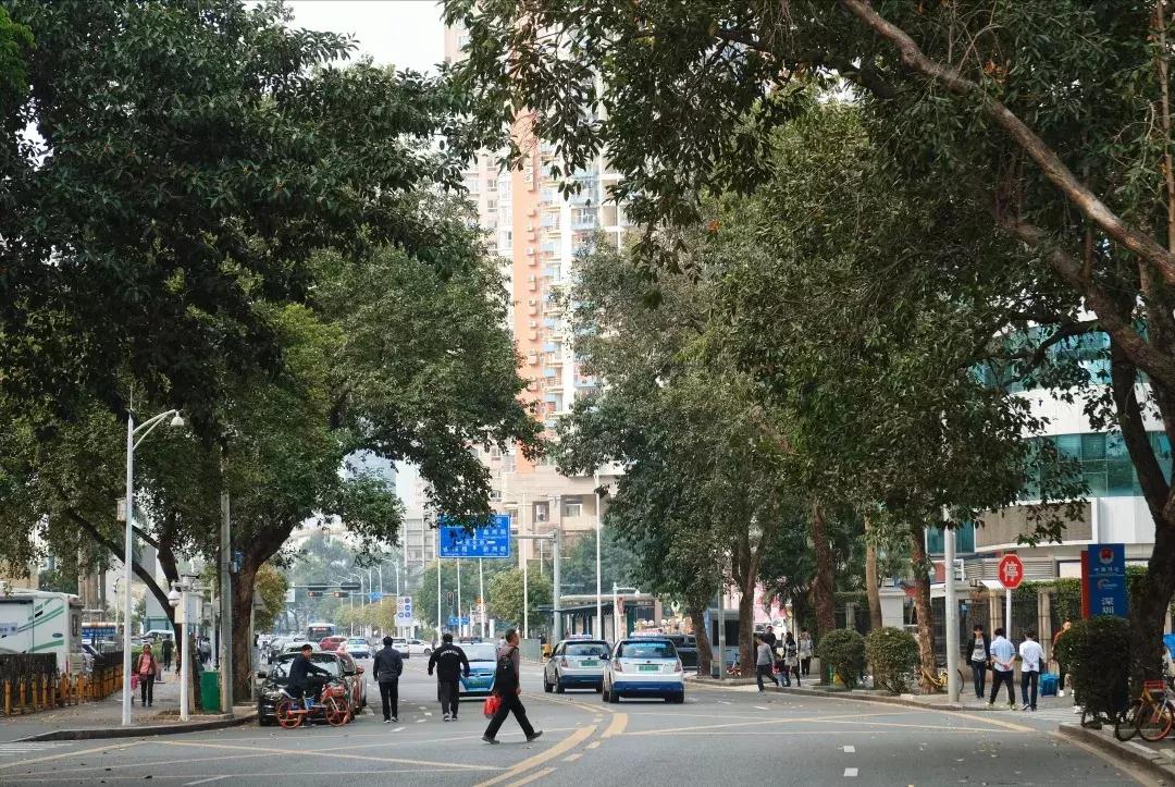 景甜经典片段,景甜童年照