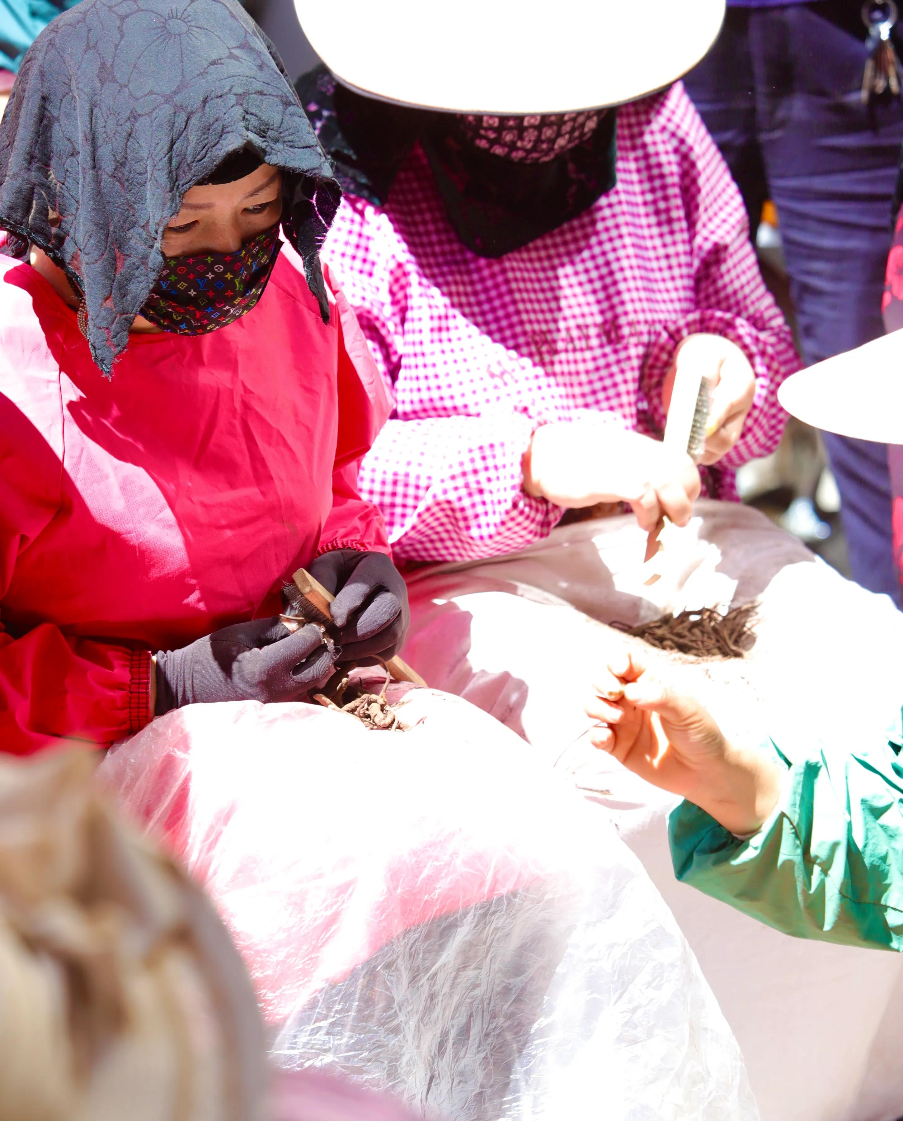 中国最大虫草市场,全国最大冬虫夏草集散地