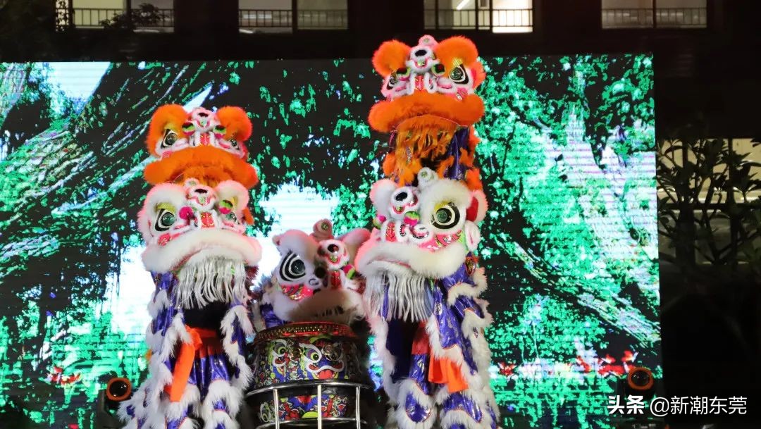 东莞外国语高中黑马,东莞黑马学校