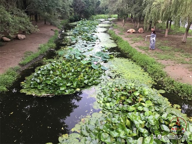 生态岛森林旅游,中国最美森林岛