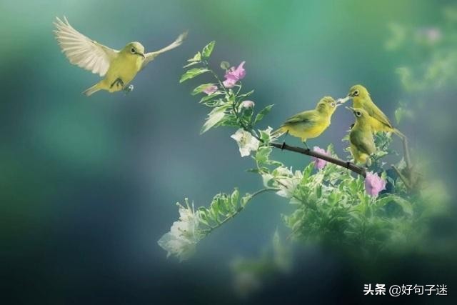 人生感悟英文短句子，句句入骨，看完你会明白很多！