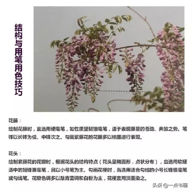 春天来了一起赏花图片,春天来了一起画个小燕子