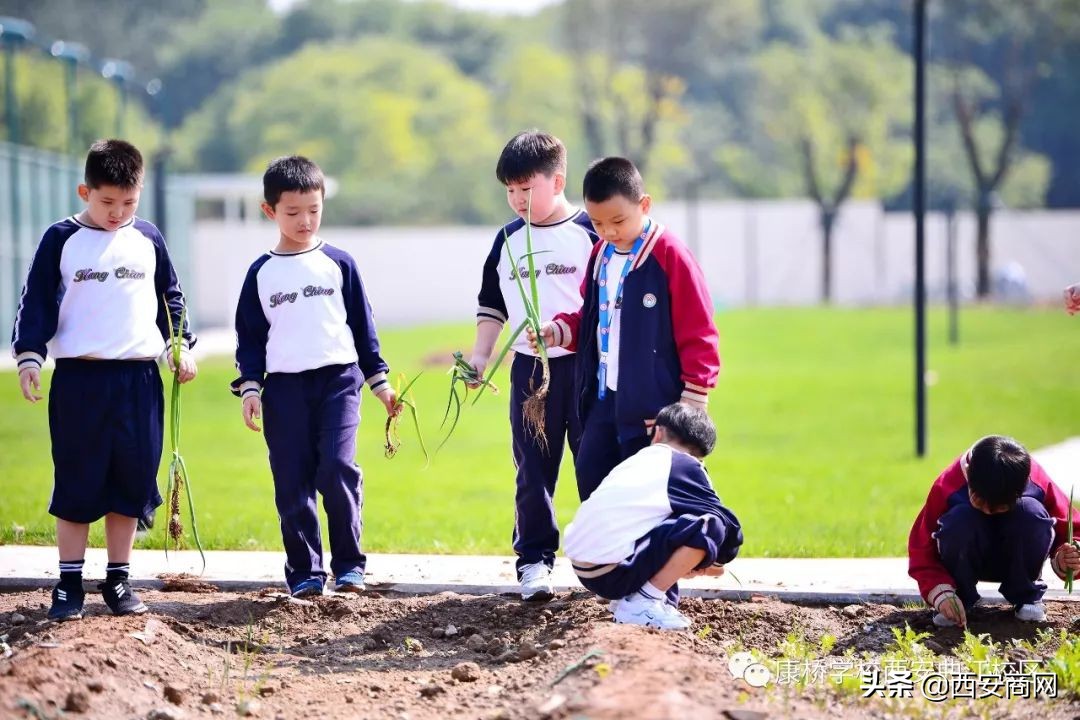 康桥国际学校适合什么样的孩子,康桥菁英励志教育