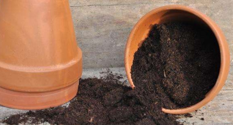 花卉营养土养花专用,最简单的自制养花土壤方法