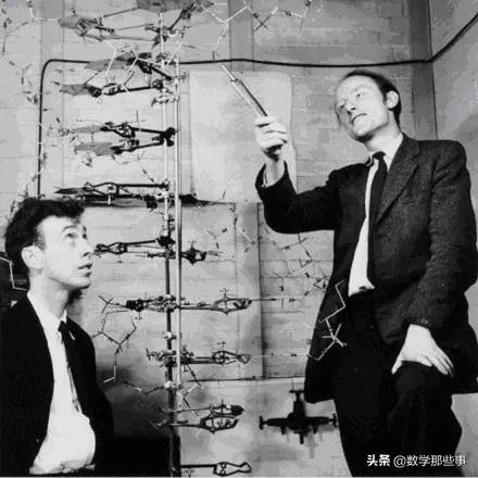 数学简史及数学作用,数学简史讲了些什么