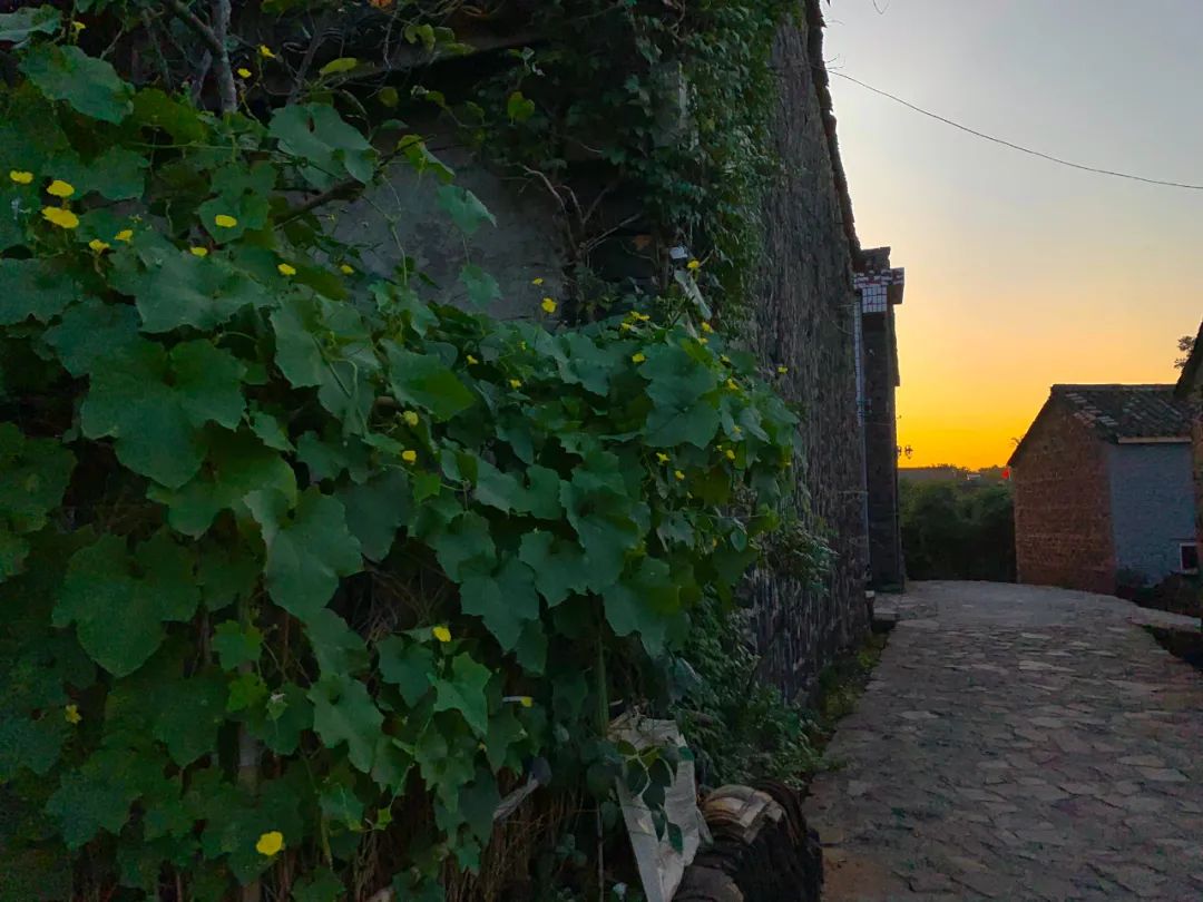 还没想好国庆去哪?自驾2.5小时,在秋日里泡温泉吃美食