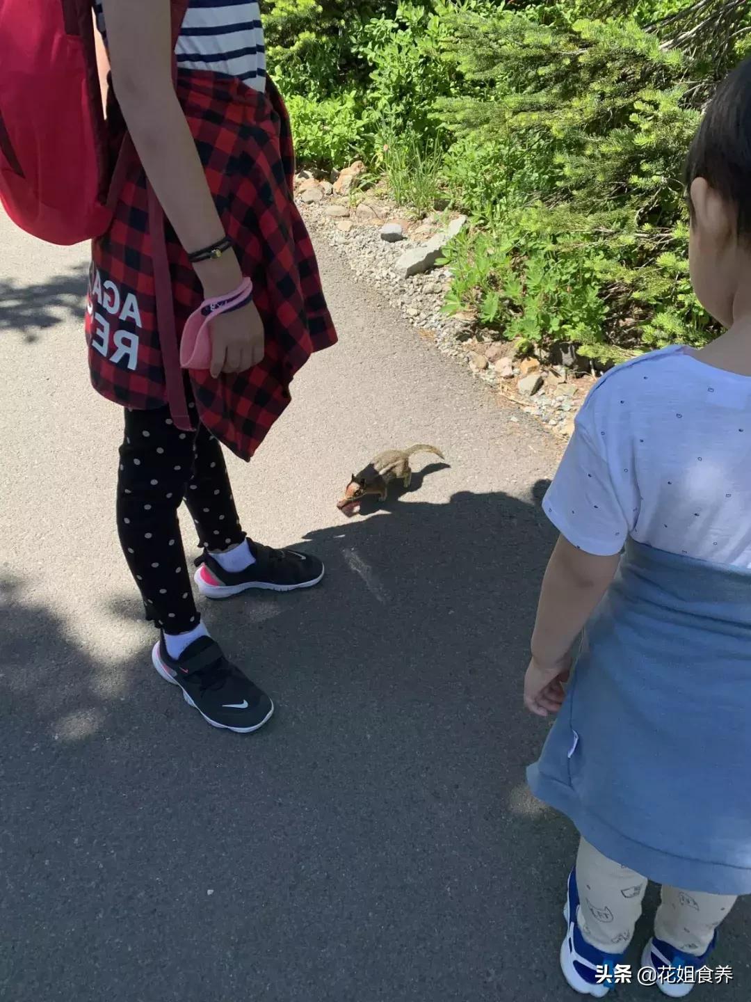 18天我和俩娃，西雅图家庭自由行，民宿、雪山、游艇……好玩刺激