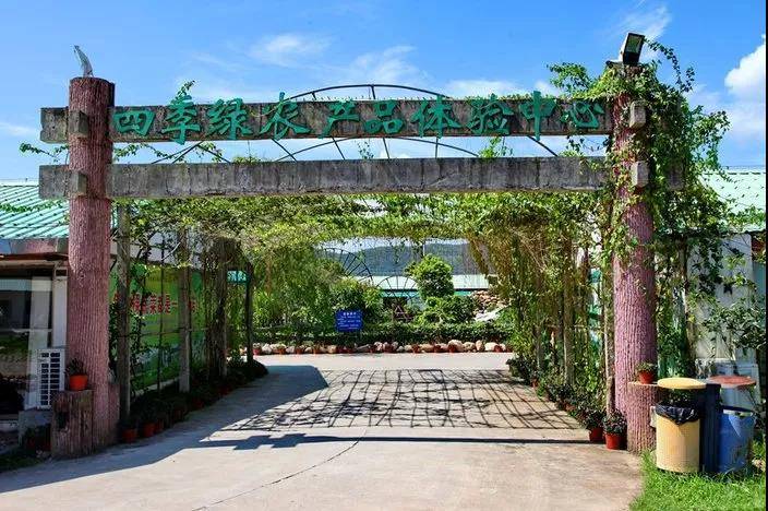 来喽·惠州候鸟印度洋风情别墅~网红泳池+休闲单车、农家特色菜