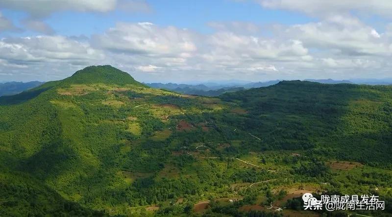 我叫成县，这是我2019年的自拍照