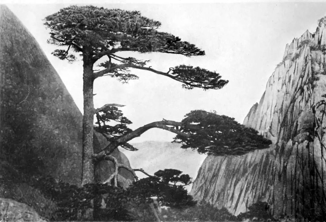 中国这十大景观，是这样发现的