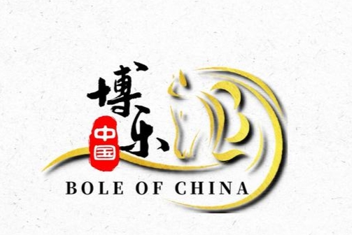 兵团名称和口号霸气,兵团第五师双河市宣传口号