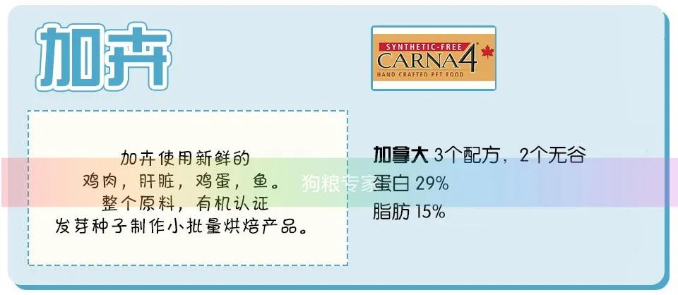 wdj鎺ㄨ崘鐨勭嫍绮帓琛屾,2020wdj鐙楃伯鎺掕