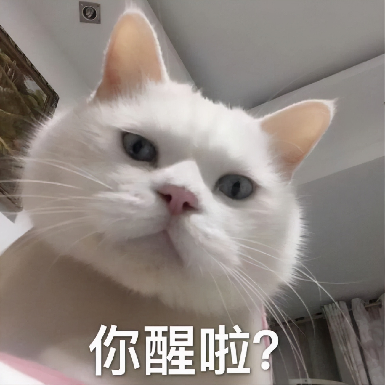 连枕头都可以“人工智能”！未来*眠药安**或许会成为古董？